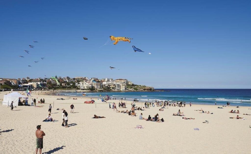 Cheap Removalists Bondi Beach